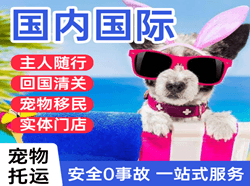 贵阳龙洞堡航空快递国际宠物托运 【国